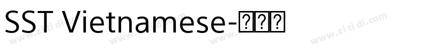 SST Vietnamese字体转换